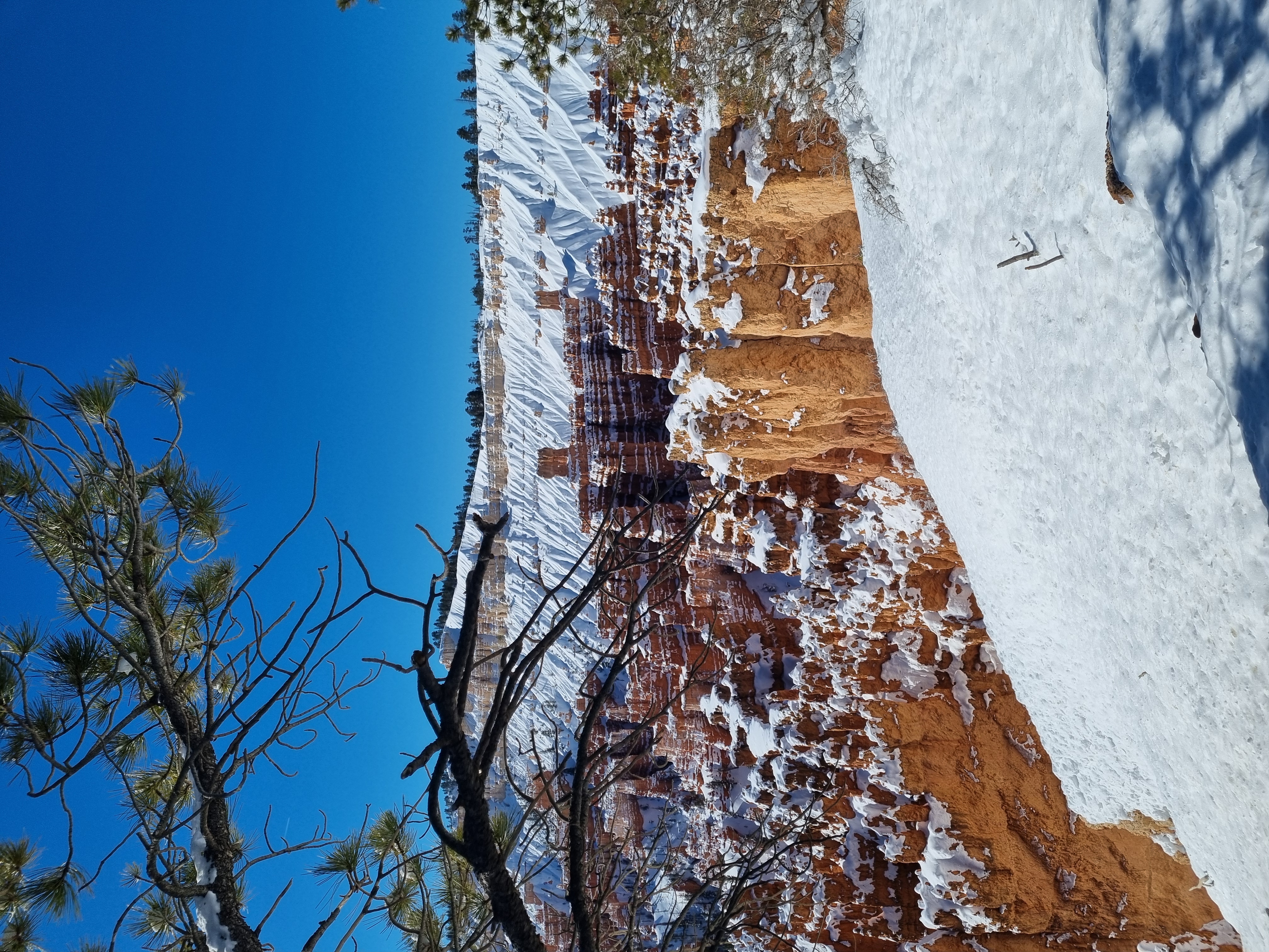 Bryce Canyon 1